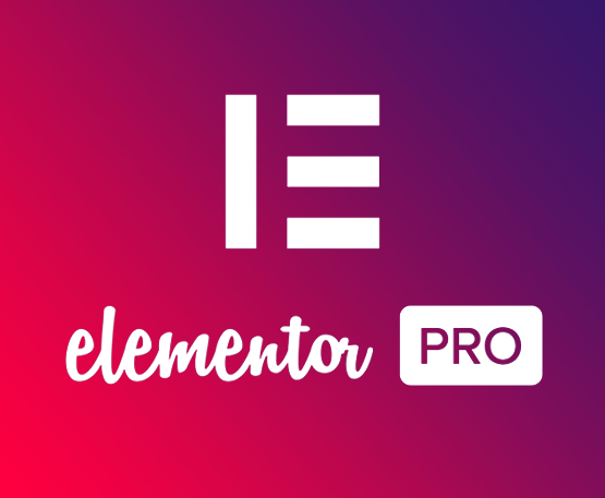 Elementor Pro – এখন কম খরচে, লাইফটাইম এক্সেসে! - Image 2